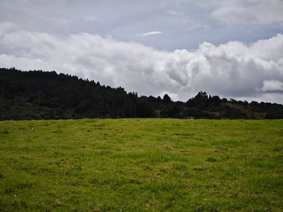 Vereda el Salitre, La Calera